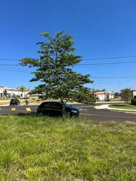 imagem 2 - Terreno Venda Condominio Setlife I Mirassol-SP imagem 2 - Terreno Venda Condominio Setlife I Mirassol-SP