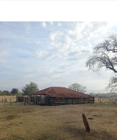 imagem 3 - Sitio Estancia Primavera 38 alqueires município de Nhandeara. imagem 3 - Sitio Estancia Primavera 38 alqueires município de Nhandeara.