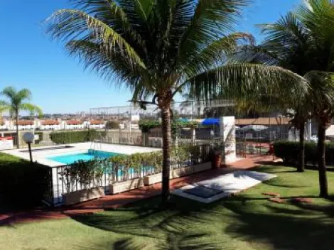 imagem 3 - Apartamento com 3 dormitórios sendo 1 tipo apartamento no Jardim Yolanda imagem 3 - Apartamento com 3 dormitórios sendo 1 tipo apartamento no Jardim Yolanda