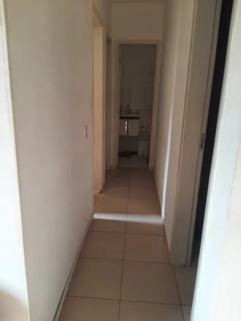 imagem 5 - Apartamento com 3 dormitórios sendo 1 tipo apartamento no Jardim Yolanda imagem 5 - Apartamento com 3 dormitórios sendo 1 tipo apartamento no Jardim Yolanda
