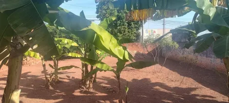 imagem 1 - Bady Bassitt - Terreno Venda imagem 1 - Bady Bassitt - Terreno Venda