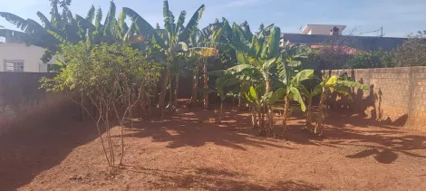 imagem 2 - Bady Bassitt - Terreno Venda imagem 2 - Bady Bassitt - Terreno Venda