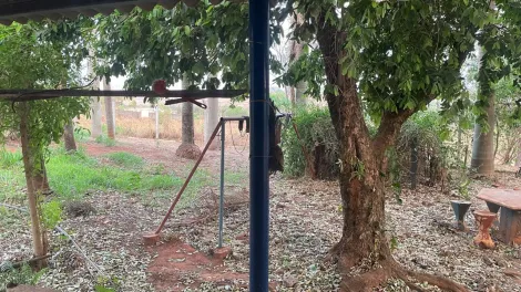 imagem 3 - Linda Chácara no Recreio da Felicidade imagem 3 - Linda Chácara no Recreio da Felicidade