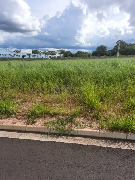 imagem 1 - Terreno á venda no Botanic imagem 1 - Terreno á venda no Botanic