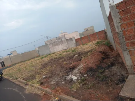 imagem 3 - Terreno á venda  de esquina no Setvalley I imagem 3 - Terreno á venda  de esquina no Setvalley I