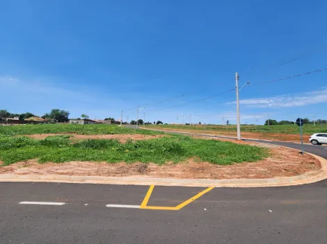 imagem 1 - Terreno - Padrão imagem 1 - Terreno - Padrão