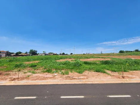 Alugar Terreno / Padrão em São José do Rio Preto. apenas R$ 263.500,00