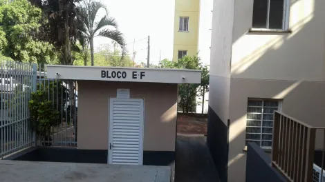 imagem 3 - São Miguel - CDHU - Quitado e documentado, 2 quartos, sala, coz, wc e garagem coberta imagem 3 - São Miguel - CDHU - Quitado e documentado, 2 quartos, sala, coz, wc e garagem coberta