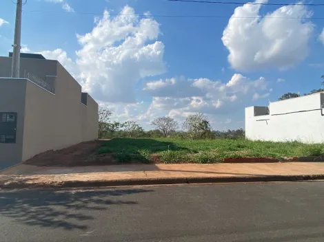 imagem 1 - Excelente Terreno à Venda com 200m² - Vila Nobre imagem 1 - Excelente Terreno à Venda com 200m² - Vila Nobre
