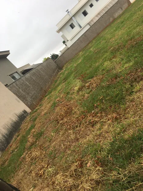 imagem 4 - Damha VI, excelente terreno de 462m² , todo murado, ligeiramente caído para a frente imagem 4 - Damha VI, excelente terreno de 462m² , todo murado, ligeiramente caído para a frente
