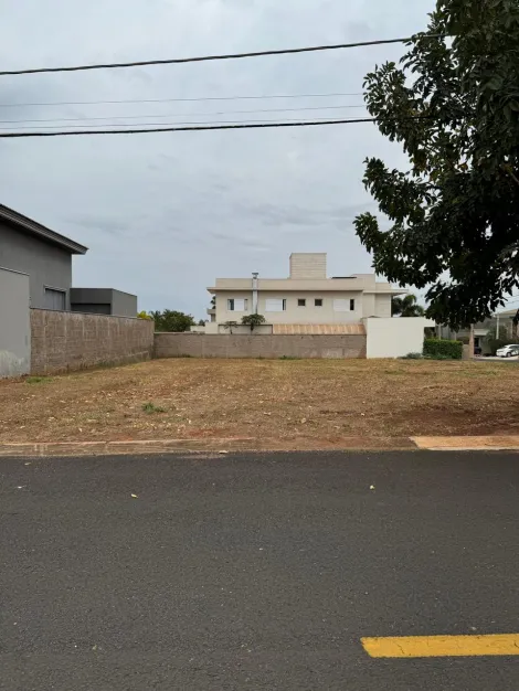imagem 2 - Damha VI, excelente terreno de 462m² , todo murado, ligeiramente caído para a frente imagem 2 - Damha VI, excelente terreno de 462m² , todo murado, ligeiramente caído para a frente