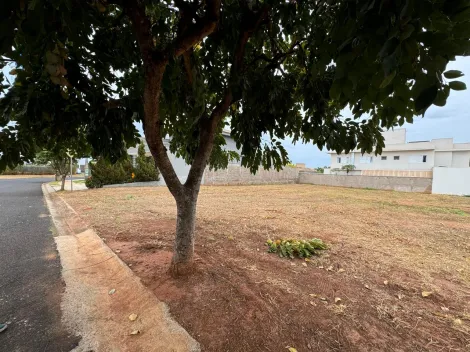 imagem 5 - Damha VI, excelente terreno de 462m² , todo murado, ligeiramente caído para a frente imagem 5 - Damha VI, excelente terreno de 462m² , todo murado, ligeiramente caído para a frente