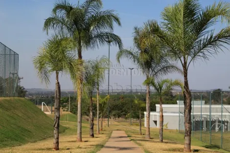 imagem 3 - Terreno á venda no Damha Fit com 237m² imagem 3 - Terreno á venda no Damha Fit com 237m²