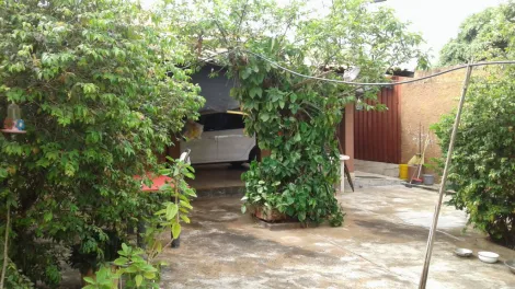 Comprar Casa / Padrão em São José do Rio Preto apenas R$ 600.000,00 - Foto 2