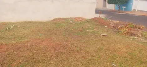 imagem 4 - Terreno - Padrão imagem 4 - Terreno - Padrão