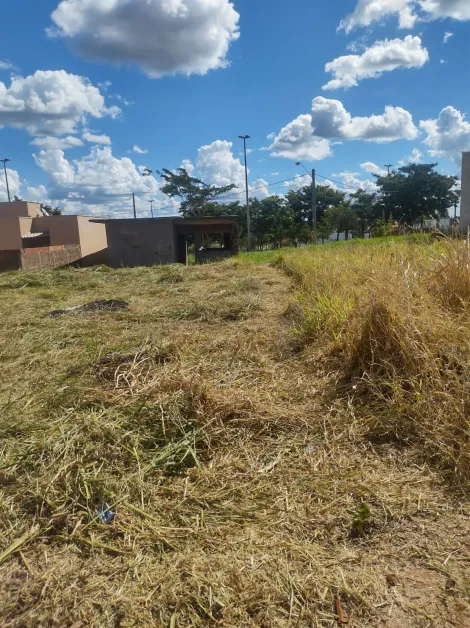 imagem 5 - TERRENO a VENDA Mais Parque imagem 5 - TERRENO a VENDA Mais Parque