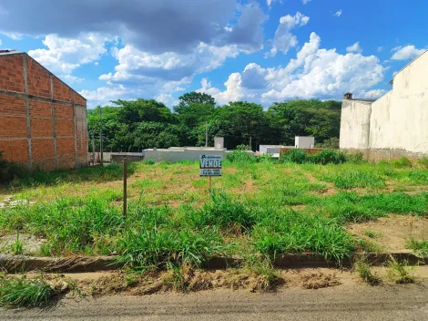 imagem 3 - Terreno Residencial Venda Parque das Amoras I imagem 3 - Terreno Residencial Venda Parque das Amoras I