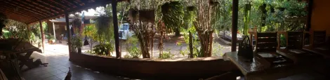 imagem 4 - Excelente Chácara entre Rio Preto e Ipiguá imagem 4 - Excelente Chácara entre Rio Preto e Ipiguá