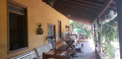 imagem 2 - Excelente Chácara entre Rio Preto e Ipiguá imagem 2 - Excelente Chácara entre Rio Preto e Ipiguá