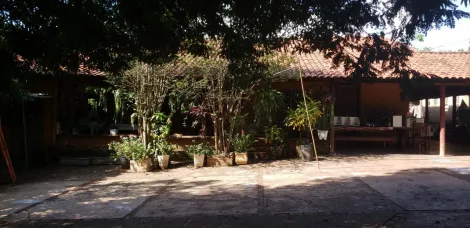 imagem 3 - Excelente Chácara entre Rio Preto e Ipiguá imagem 3 - Excelente Chácara entre Rio Preto e Ipiguá