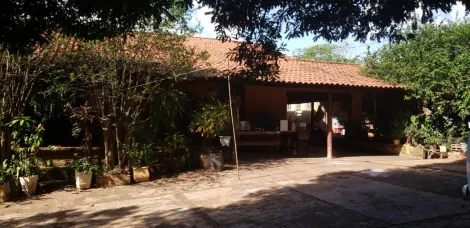 imagem 1 - Excelente Chácara entre Rio Preto e Ipiguá imagem 1 - Excelente Chácara entre Rio Preto e Ipiguá