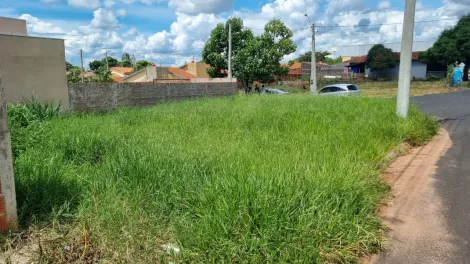 imagem 2 - Terreno Residencial Venda Jardim Di Napoli Cedral-SP imagem 2 - Terreno Residencial Venda Jardim Di Napoli Cedral-SP