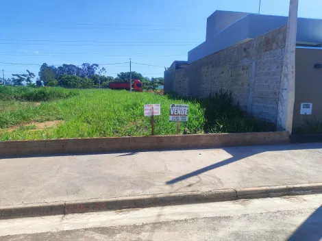 imagem 4 - Setsul II - Terreno quitado, com casa ao lado, 200 m² imagem 4 - Setsul II - Terreno quitado, com casa ao lado, 200 m²