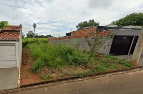 Terreno / Padrão em São José do Rio Preto 