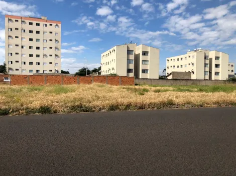 imagem 2 - Terreno Comercial ou Residencial Venda Bairro Aviação Araçatuba - SP imagem 2 - Terreno Comercial ou Residencial Venda Bairro Aviação Araçatuba - SP
