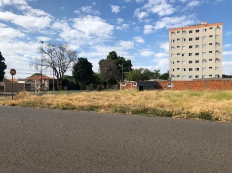 imagem 3 - Terreno Comercial ou Residencial Venda Bairro Aviação Araçatuba - SP imagem 3 - Terreno Comercial ou Residencial Venda Bairro Aviação Araçatuba - SP
