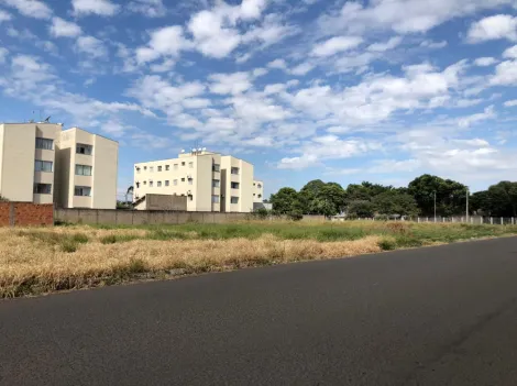 imagem 5 - Terreno Comercial ou Residencial Venda Bairro Aviação Araçatuba - SP imagem 5 - Terreno Comercial ou Residencial Venda Bairro Aviação Araçatuba - SP