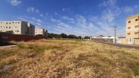 imagem 4 - Terreno Comercial ou Residencial Venda Bairro Aviação Araçatuba - SP imagem 4 - Terreno Comercial ou Residencial Venda Bairro Aviação Araçatuba - SP