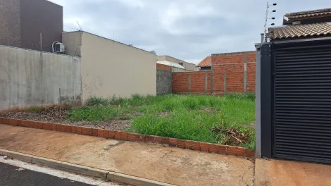 imagem 2 - Terreno - Padrão imagem 2 - Terreno - Padrão