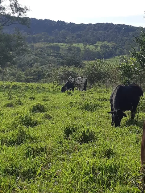 imagem 2 - Fazenda no Município de Cachoeira Alta Goiás imagem 2 - Fazenda no Município de Cachoeira Alta Goiás