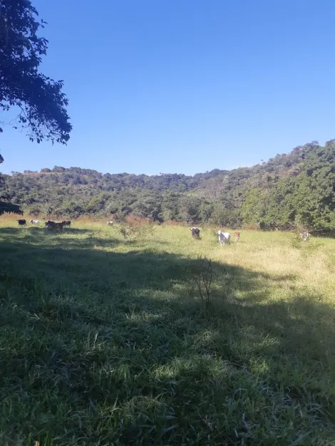 imagem 3 - Fazenda no Município de Cachoeira Alta Goiás imagem 3 - Fazenda no Município de Cachoeira Alta Goiás