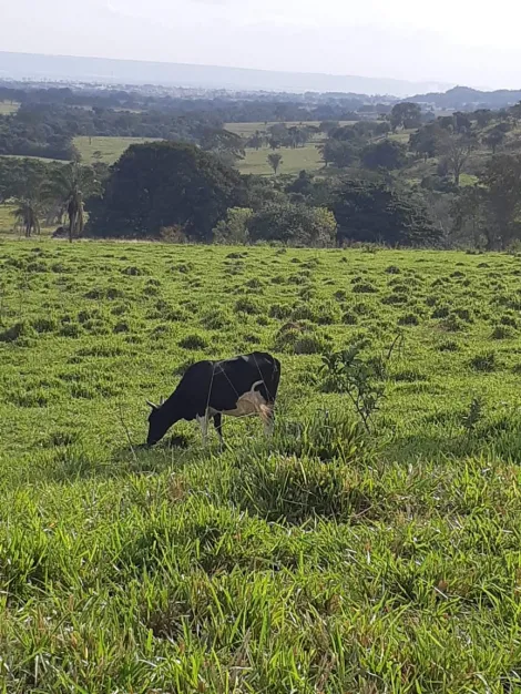 imagem 4 - Fazenda no Município de Cachoeira Alta Goiás imagem 4 - Fazenda no Município de Cachoeira Alta Goiás
