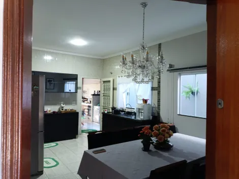 imagem 2 - Linda Casa no Jardim Antonieta imagem 2 - Linda Casa no Jardim Antonieta