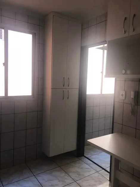 Alugar Apartamento / Padrão em São José do Rio Preto R$ 632,15 - Foto 1