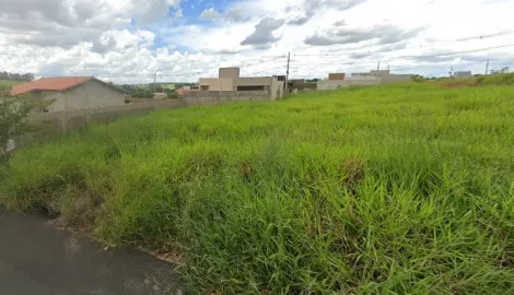 Terreno / Padrão em São José do Rio Preto 