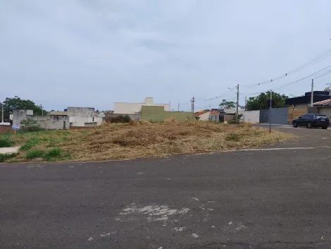 imagem 1 - Terreno - Padrão imagem 1 - Terreno - Padrão