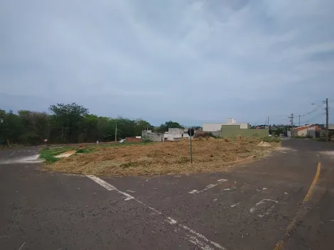 imagem 2 - Terreno - Padrão imagem 2 - Terreno - Padrão