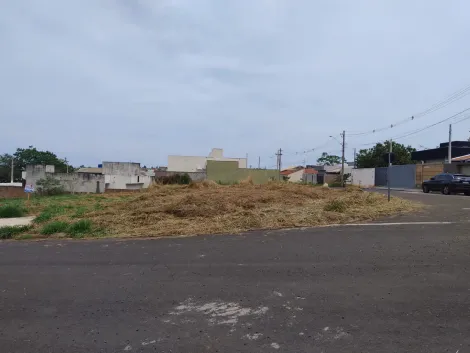 imagem 4 - Terreno - Padrão imagem 4 - Terreno - Padrão