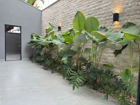 Alugar Casa / Condomínio em São José do Rio Preto. apenas R$ 4.200.000,00