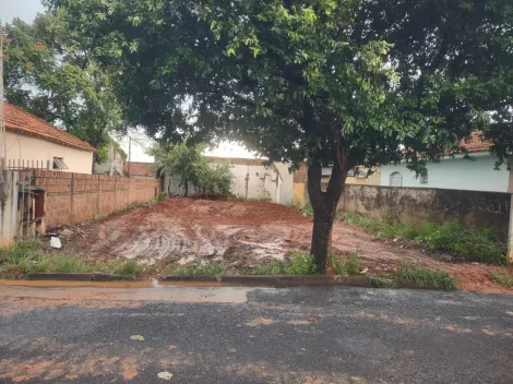 imagem 1 - Terreno - Padrão imagem 1 - Terreno - Padrão