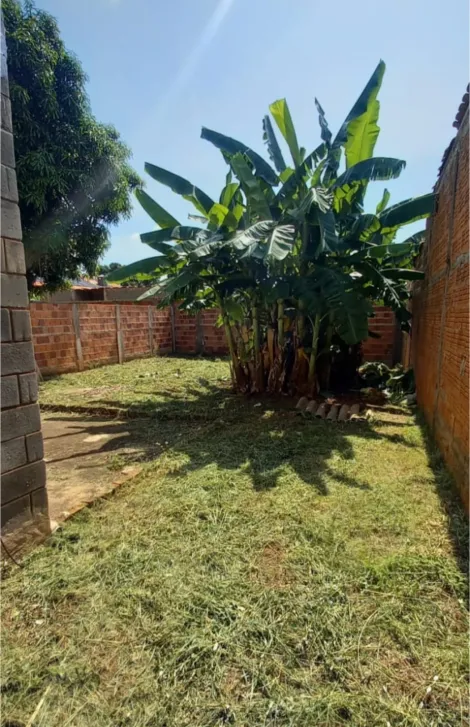 imagem 5 - Chácara Venda imagem 5 - Chácara Venda