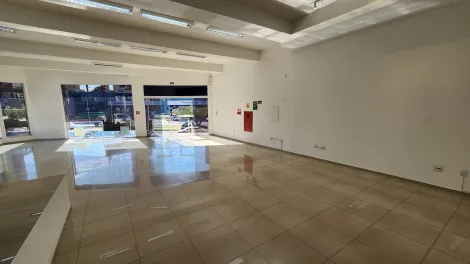 imagem 4 - Prédio Comercial com 200,00m² de área construída - Avenida Bady Bassitt imagem 4 - Prédio Comercial com 200,00m² de área construída - Avenida Bady Bassitt