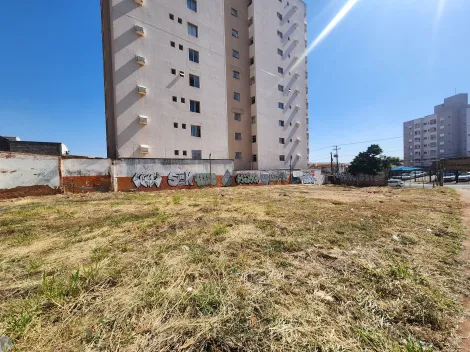 imagem 3 - Vila Maceno - Terreno de esquina comercial e residencial imagem 3 - Vila Maceno - Terreno de esquina comercial e residencial