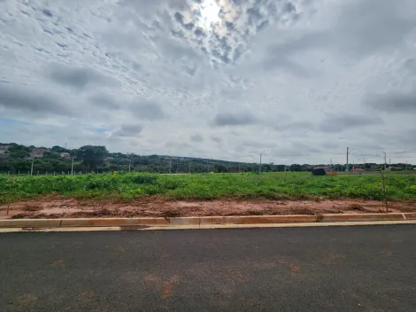 Alugar Terreno / Padrão em São José do Rio Preto. apenas R$ 84.000,00