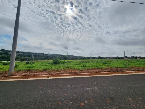 imagem 1 - São Bento terreno de 200m² em Rio Preto - SP imagem 1 - São Bento terreno de 200m² em Rio Preto - SP