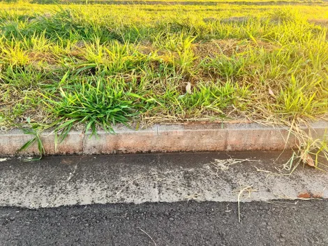 imagem 2 - Terreno - Padrão imagem 2 - Terreno - Padrão